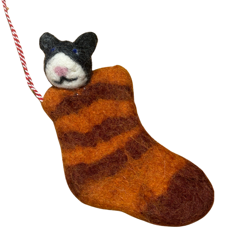 Cats in Stockings