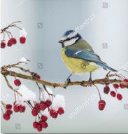 Christmas cards -  Bird & Berries